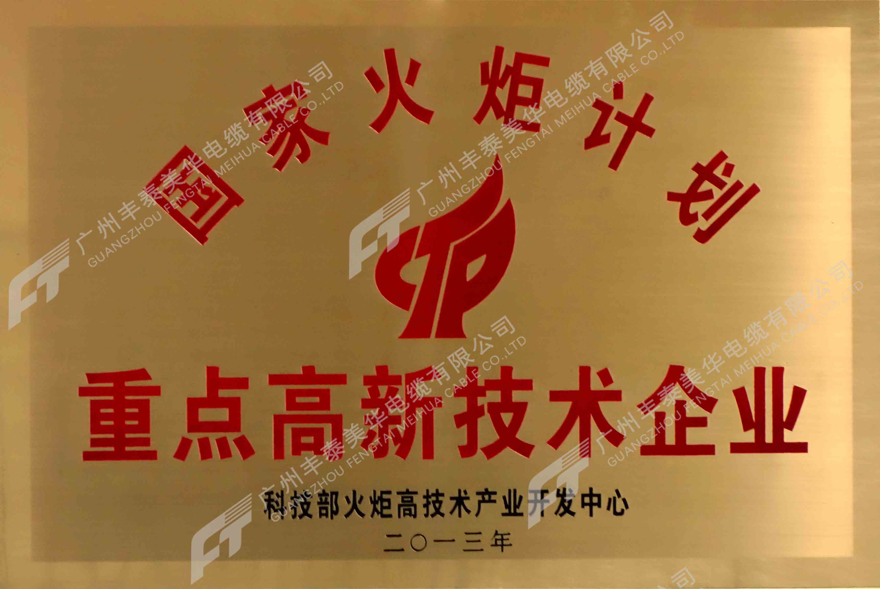 重點高新技術(shù)企業(yè)